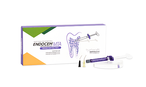 EndoCem Premix MTA , 2g Syringe