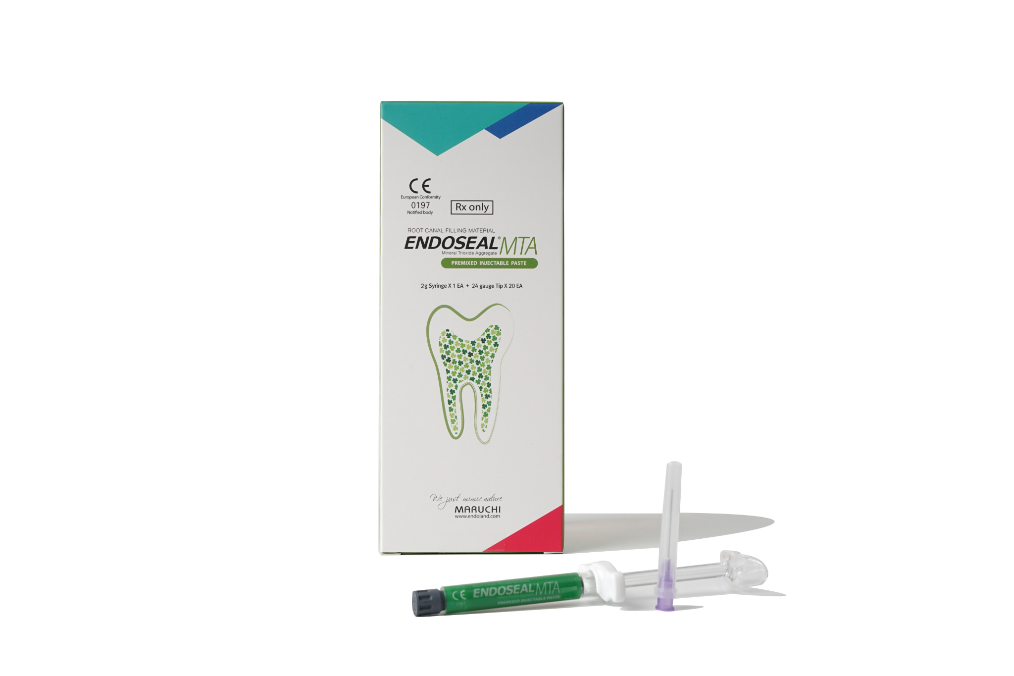 Endoseal MTA – Maruchi USA
